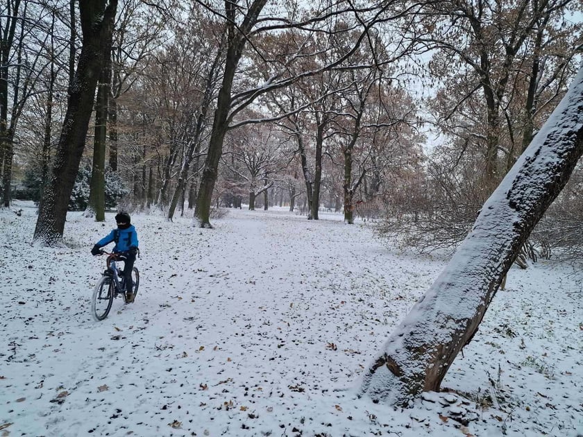 zima we Wrocławiu, 28.11.2023