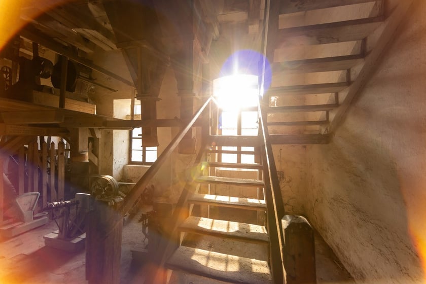 Pałac Korn&oacute;w w Pawłowicach - kompleks folwarczny