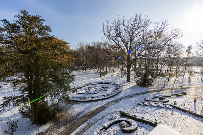 Pałac Korn&oacute;w w Pawłowicach - r&oacute;żanecznik zimą