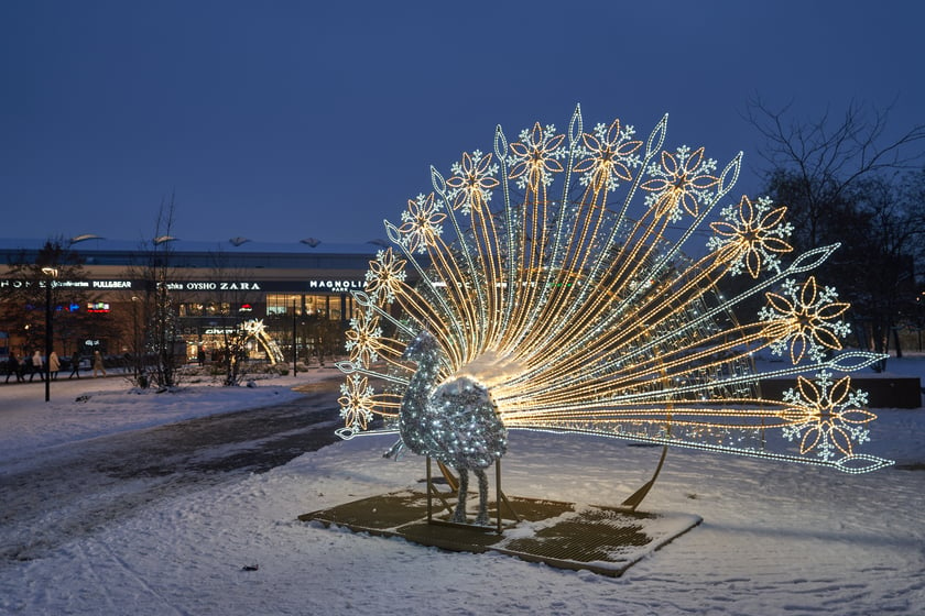 Iluminacje świąteczne wokół wrocławskich galerii