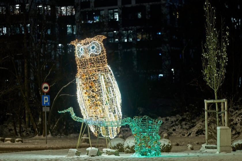 Iluminacje świąteczne wokół wrocławskich galerii