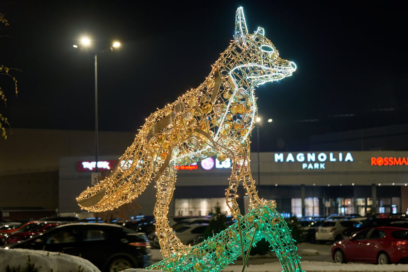 Iluminacje świąteczne wokół wrocławskich galerii