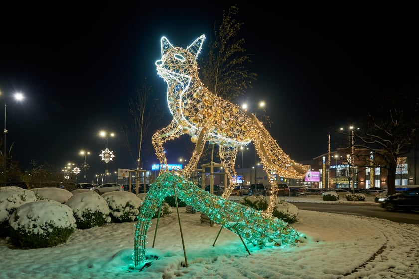 Iluminacje świąteczne wokół wrocławskich galerii