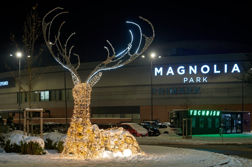 Iluminacje świąteczne wokół wrocławskich galerii