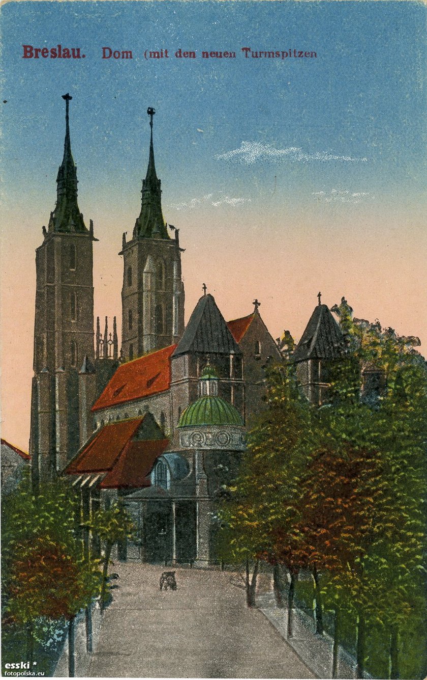 Ostrów Tumski 100 lat temu