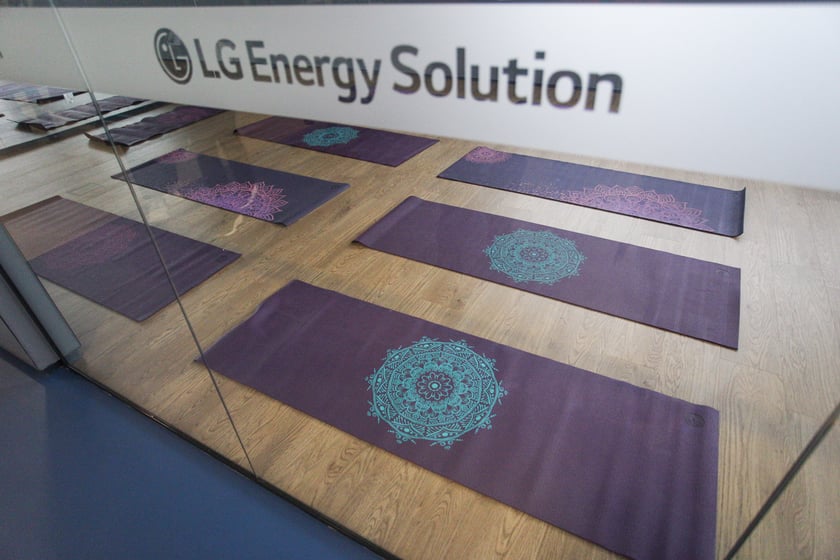 Wnętrza zakładów LG Solution w Biskupicach Podgórnych pod Wrocławiem