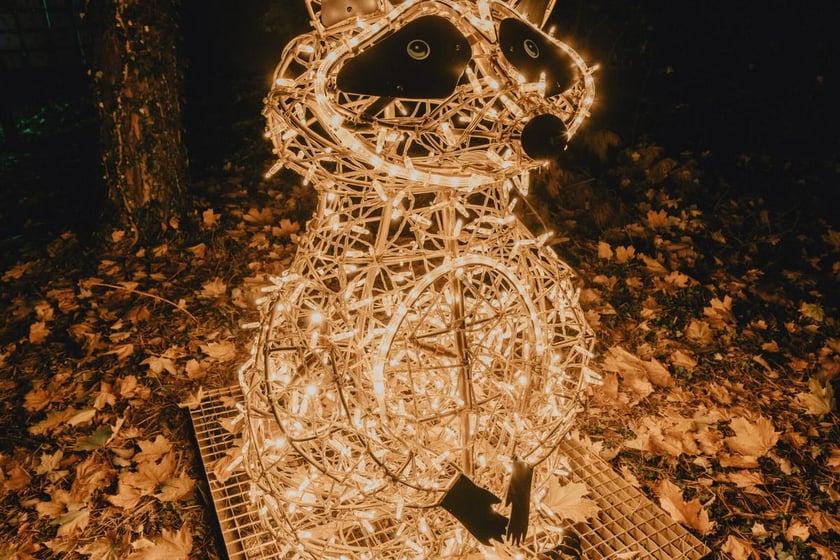 Lumina Park