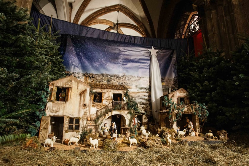 Bożonarodzeniowa szopka w katedrze