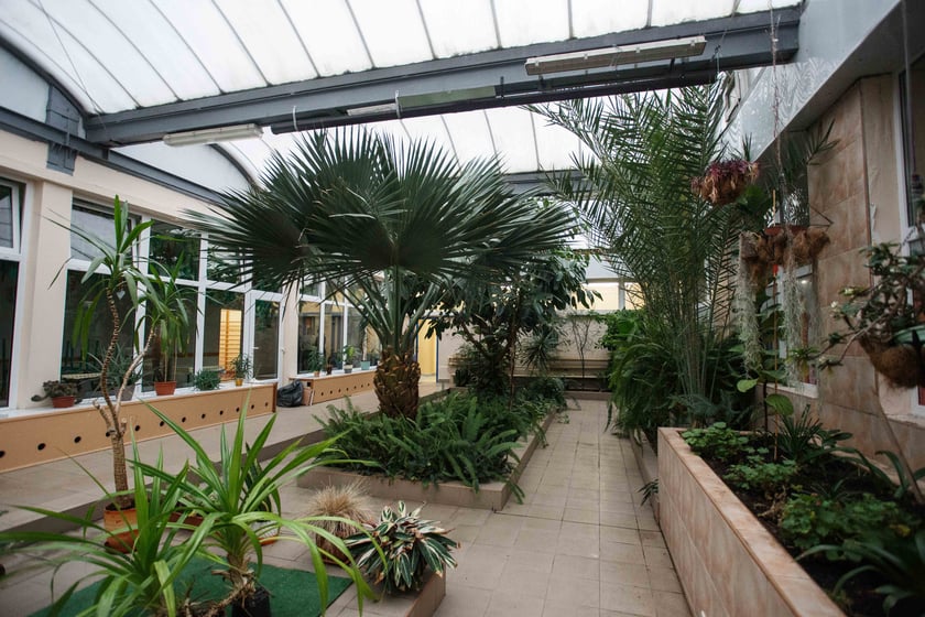 Mini ogr&oacute;d botaniczny w szkole podstawowej przy ul. Prostej
