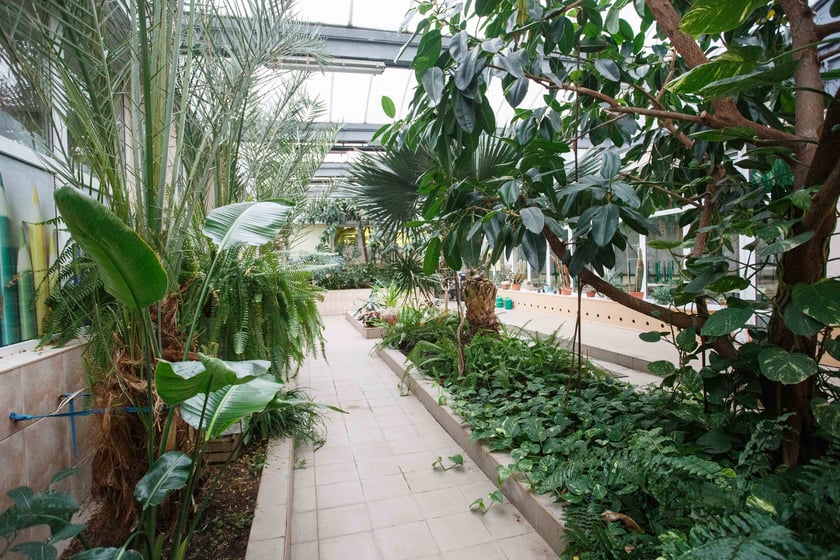 Mini ogr&oacute;d botaniczny w szkole podstawowej przy ul. Prostej