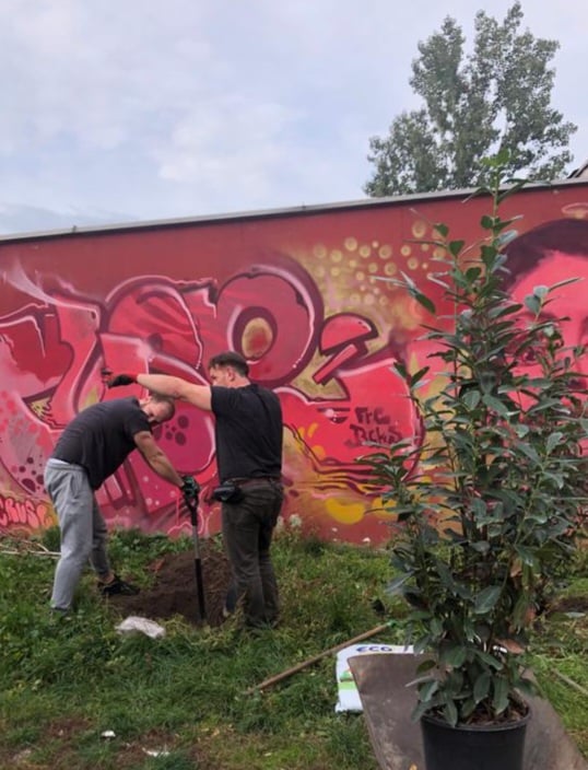 Sąsiedzkie nasadzdenia na Kleczkowie