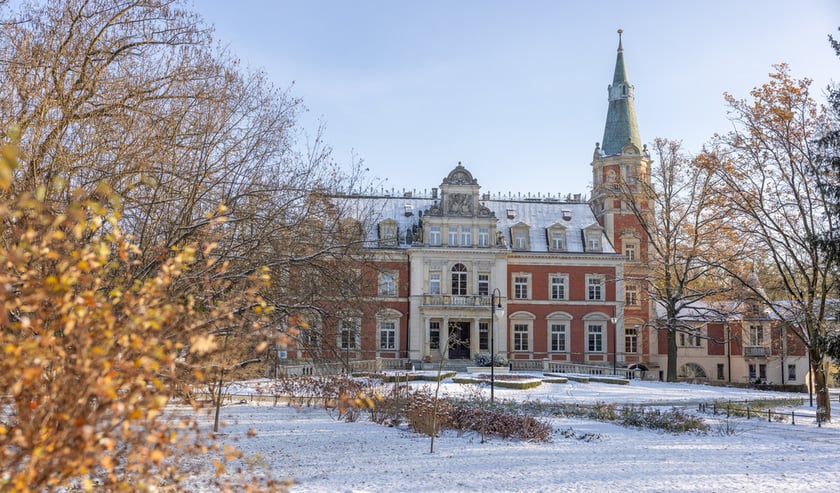 Pałąc na Pawłowicach