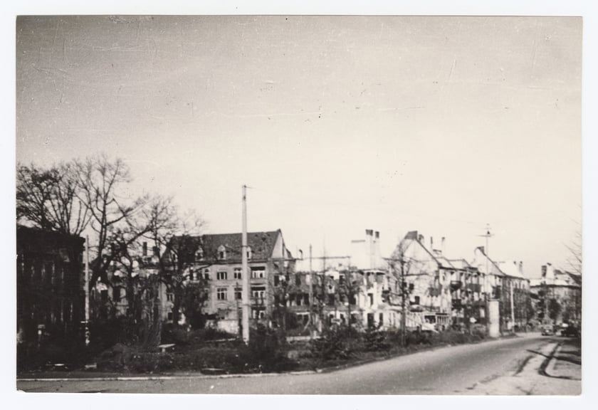 Hallera, 1946