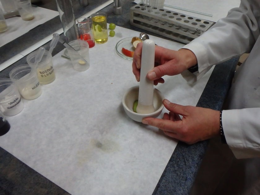 Zajęcia w laboratoriach podczas Nocy Biolog&oacute;w