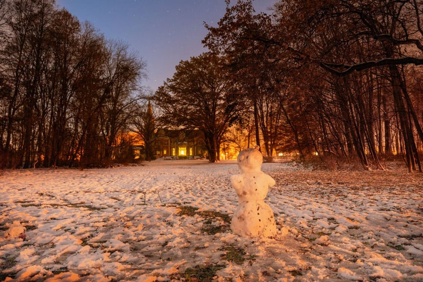 Do pałacu przylega park o powierzchni ponad 7 hektar&oacute;w. Znajduje się tu:
&nbsp;

pomnik przyrody &ndash; dąb od 2016 roku zwany &bdquo;Pawłem&rdquo;,
kamienny mostek,
sztuczny staw z romantyczną glorietą.
