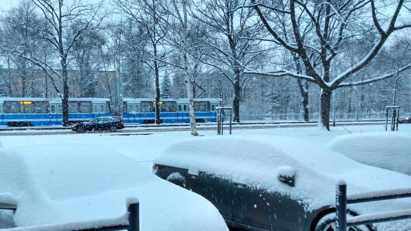 Zima wróciła do Wrocławia