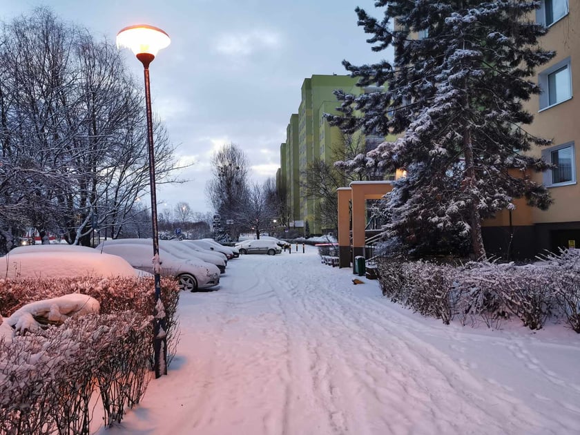 Zima wróciła do Wrocławia