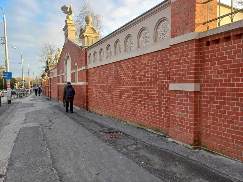 Chodnik przy ulicy Wajdy, biegnący wzdłuż ogrodzenia zoo