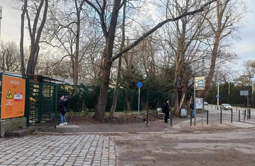 Chodnik przy ulicy Wajdy, biegnący wzdłuż ogrodzenia zoo