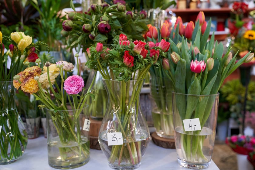 Zobacz ceny towarów  w Hali Targowej przy Piaskowej