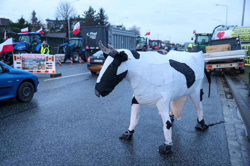 Rolnicy blokujący aleję Jana III Sobieskiego we Wrocławiu (poranek 12 lutego 2024)&nbsp;&nbsp;