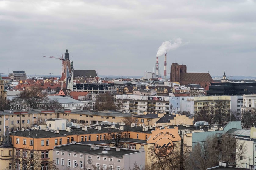 Widok z dachu Trzonolinowca