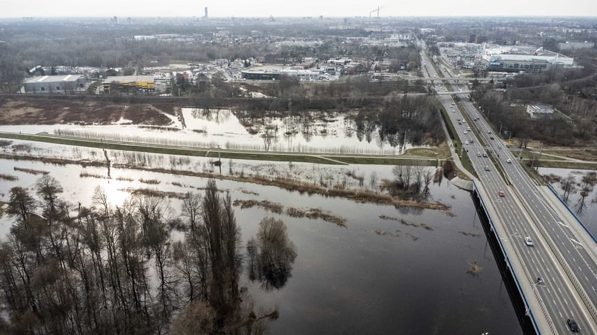 Woda z Widawy stojąca na niezabudowanych terenach we Wrocławiu (18 lutego 2024)