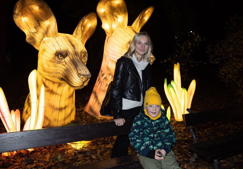 Wystawa Garden of Lights "Dzika Afryka" w zoo Wrocław
