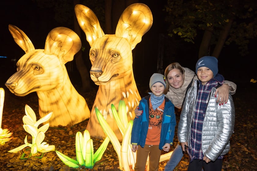 Wystawa Garden of Lights "Dzika Afryka" w zoo Wrocław