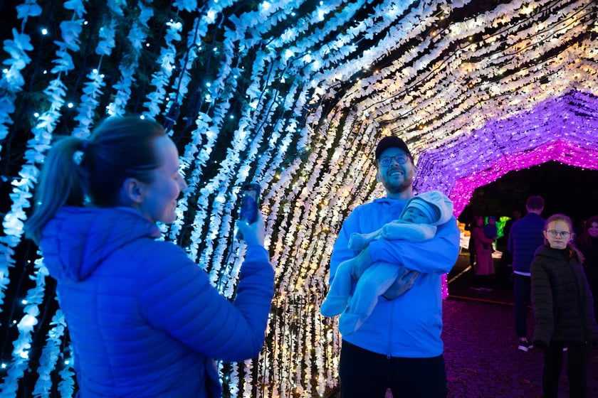 Wystawa Garden of Lights "Dzika Afryka" w zoo Wrocław