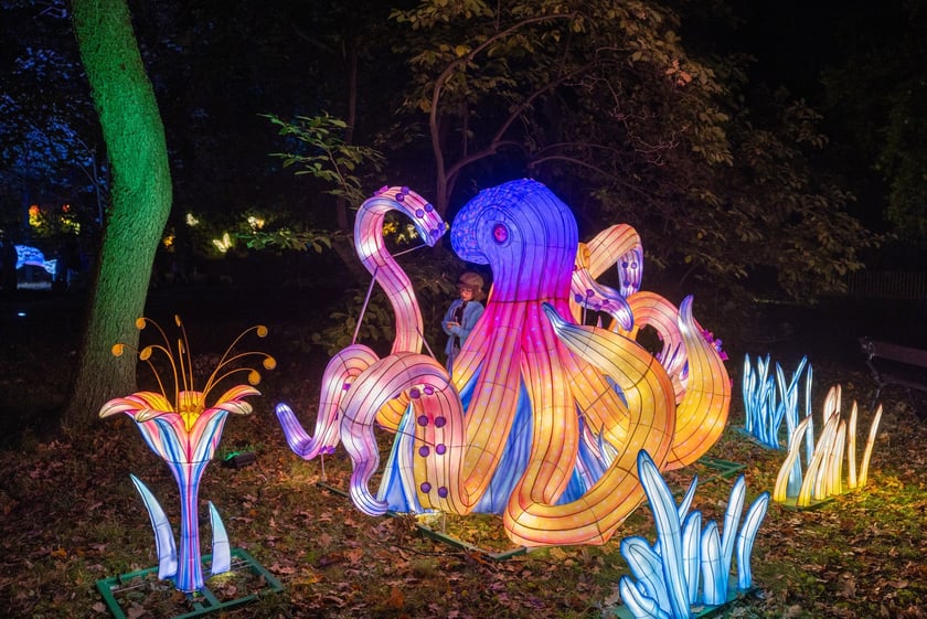 Wystawa Garden of Lights "Dzika Afryka" w zoo Wrocław