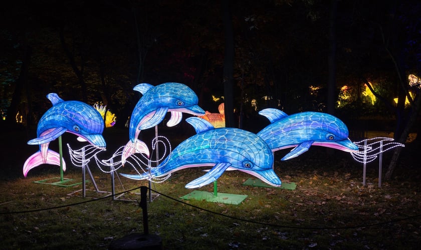 Wystawa Garden of Lights "Dzika Afryka" w zoo Wrocław