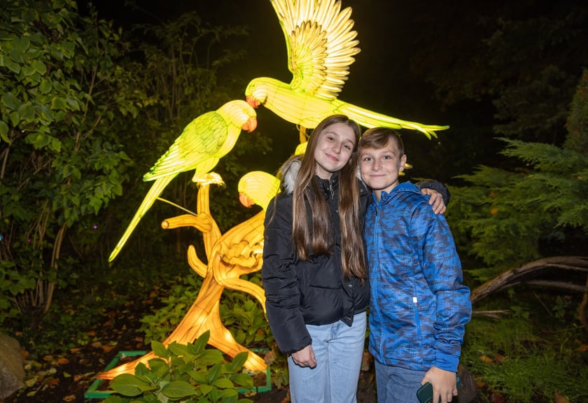 Wystawa Garden of Lights "Dzika Afryka" w zoo Wrocław