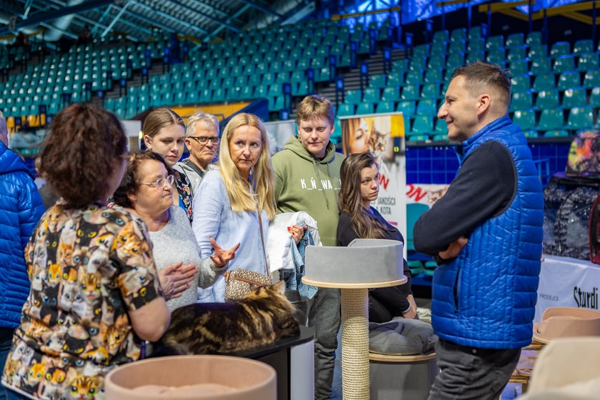 Wystawa kotów rasowych trwa przez ten weekend (2-3 marca) we wrocławskiej Orbicie
