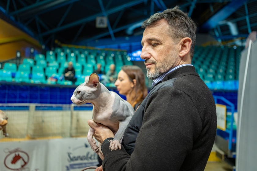 Wystawa kotów rasowych trwa przez ten weekend (2-3 marca) we wrocławskiej Orbicie