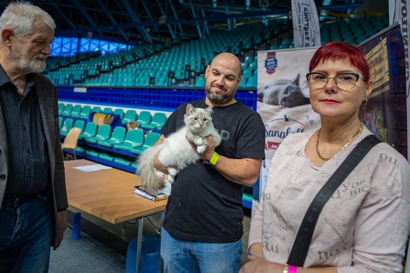 Wystawa kotów rasowych trwa przez ten weekend (2-3 marca) we wrocławskiej Orbicie