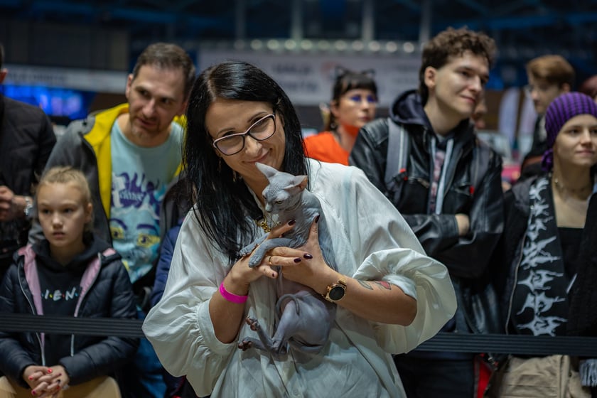 Wystawa kotów rasowych trwa przez ten weekend (2-3 marca) we wrocławskiej Orbicie