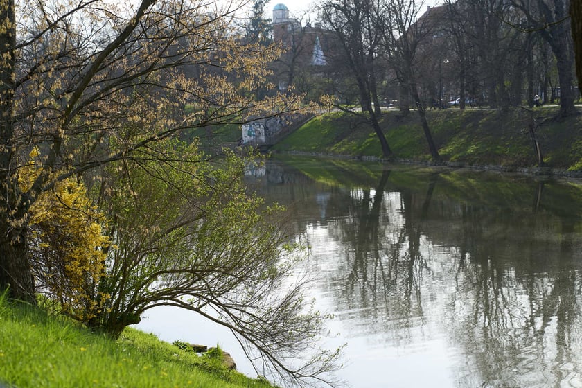 Wiosna we Wrocławiu
