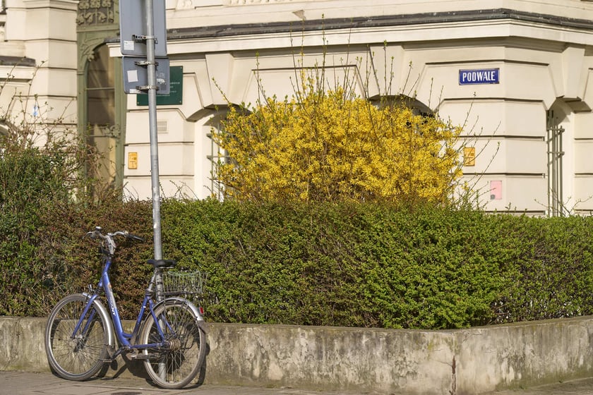 Wiosna we Wrocławiu