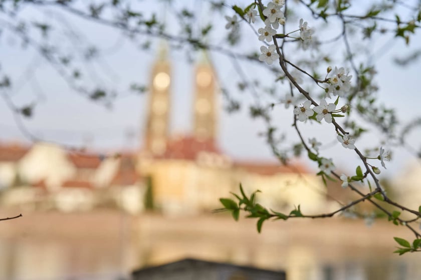 Wiosna we Wrocławiu