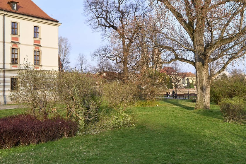 Wiosna we Wrocławiu