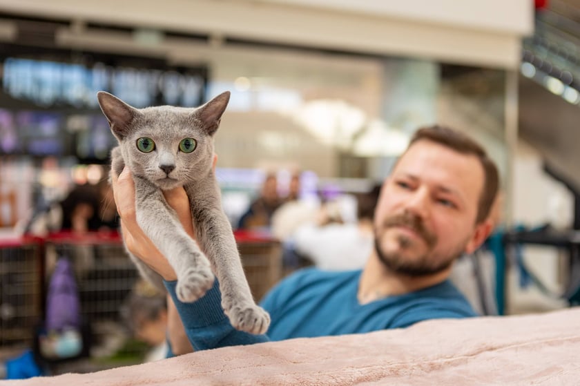 Prezentacja kotów rasowych w Magnolia Park - 24 marca