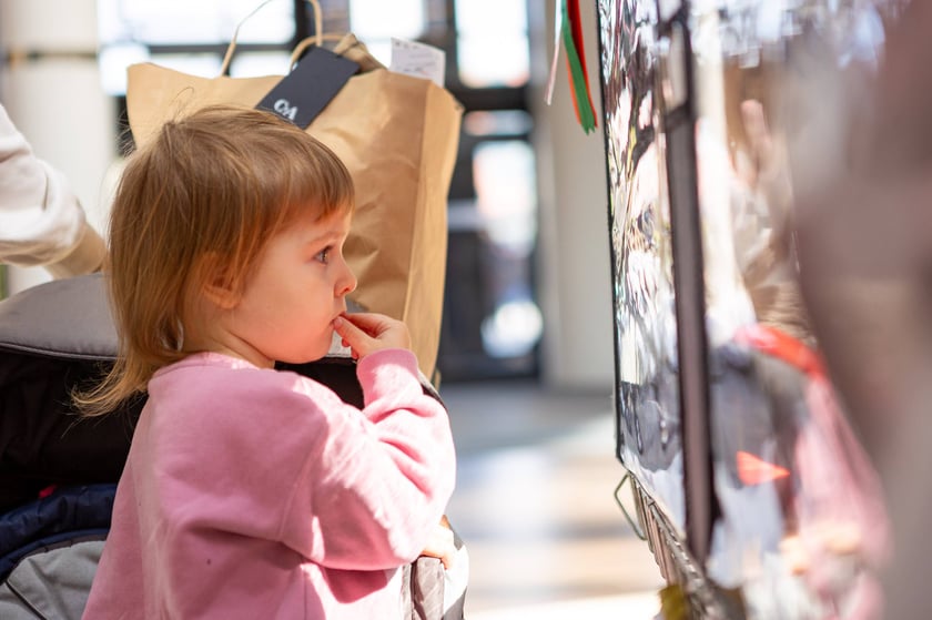 Prezentacja kotów rasowych w Magnolia Park - 24 marca