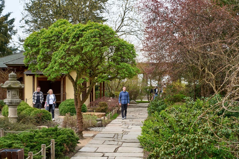 Ogród Japoński we Wrocławiu - 1 kwietnia 2024