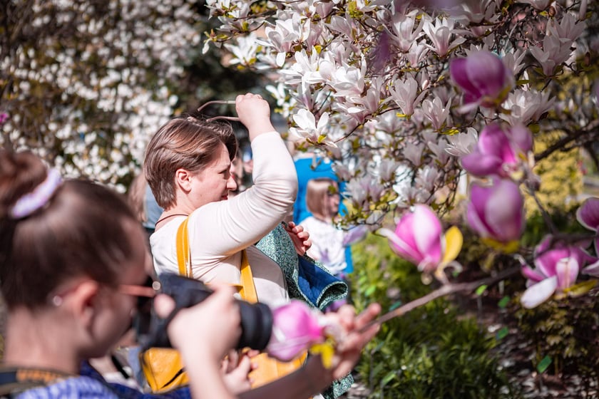 Wrocławski ogr&oacute;d botaniczny otwarty. Można go odwiedzać od 1 kwietnia do końca października.