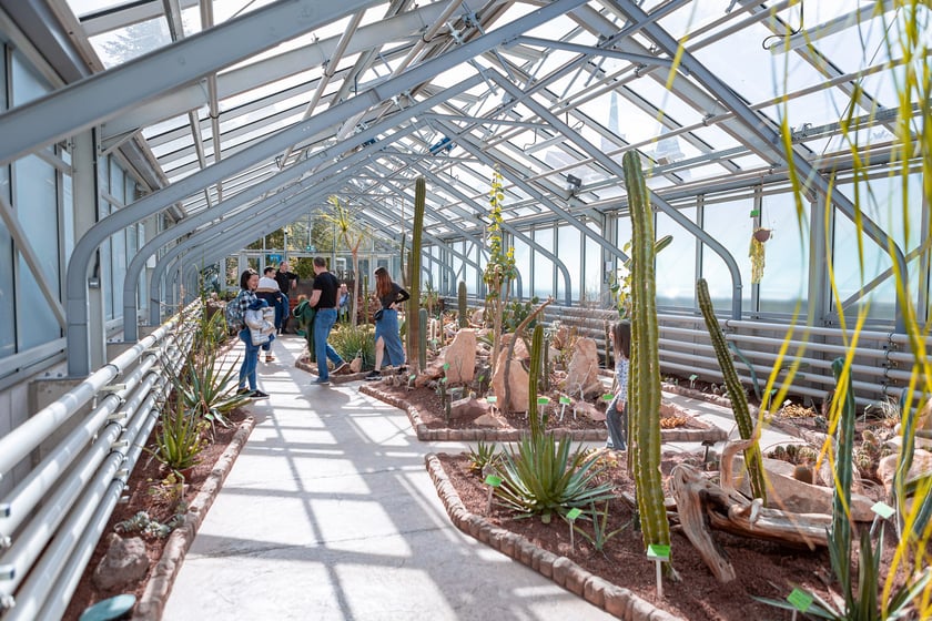 Wrocławski ogr&oacute;d botaniczny otwarty. Można go odwiedzać od 1 kwietnia do końca października.