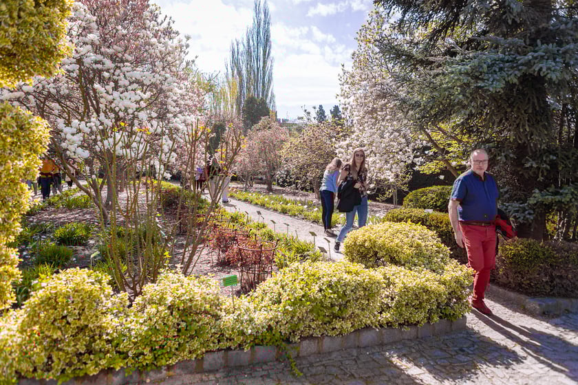 Wrocławski ogr&oacute;d botaniczny otwarty. Można go odwiedzać od 1 kwietnia do końca października.