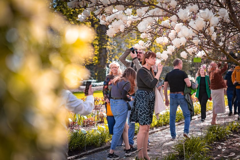 Wrocławski ogr&oacute;d botaniczny otwarty. Można go odwiedzać od 1 kwietnia do końca października.