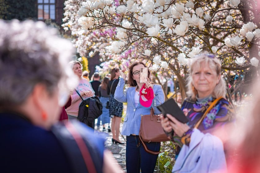 Wrocławski ogr&oacute;d botaniczny otwarty. Można go odwiedzać od 1 kwietnia do końca października.