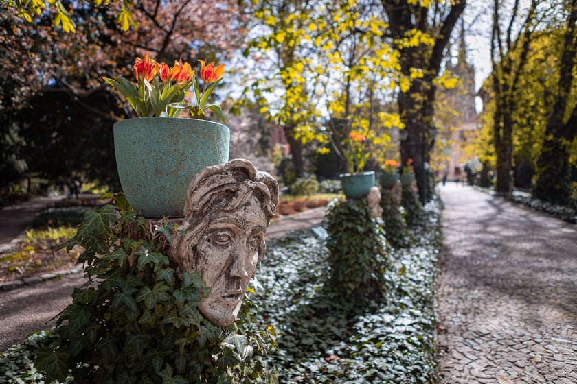 Wrocławski ogr&oacute;d botaniczny otwarty. Można go odwiedzać od 1 kwietnia do końca października.